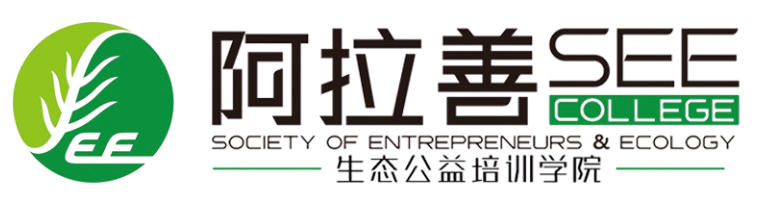 SEE - DB STUDIO Trusted Partner